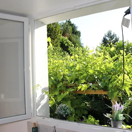 Cocoon In A Setting, Private Garden * Soisy-sous-Montmorency