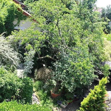 شقة Cocoon In A Setting, Private Garden *